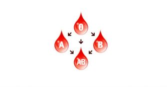 AB0: Das Blutgruppen-System -  Verteilung und Bedeutung bei Blut-Transfusionen | apomio Gesundheitsblog