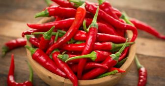 Chili - Some like it hot | apomio Gesundheitsblog