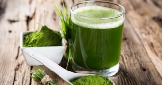 Chlorella Algen - Das grüne Wunder aus dem Wasser | apomio Gesundheitsblog