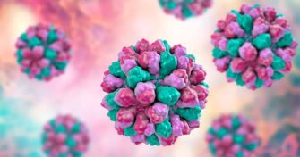 Norovirus - Ein Virus, viele Variationen | apomio Gesundheitsblog
