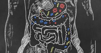 Parasiten im Darm: Das bedeutet ein Wurmbefall | apomio Gesundheitsblog