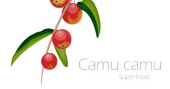 Alles über Camu Camu – was das neueste „Superfood“ tatsächlich kann | apomio Gesundheitsblog