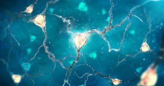 Neuropathie: Wenn die Nerven schmerzen | apomio Gesundheitsblog