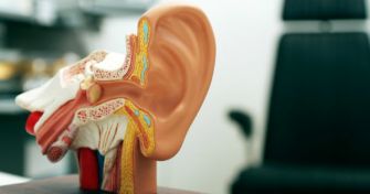 Die häufigsten Ohrenerkrankungen: Symptome richtig erkennen und behandeln | apomio Gesundheitsblog