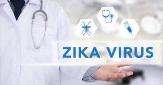 Viruserkrankungen: Das Zika-Virus