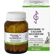 Biochemie 12 Calcium sulfuricum D 6 günstig im Preisvergleich