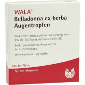 Belladonna ex herba Augentropfen