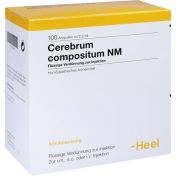 Cerebrum compositum NM