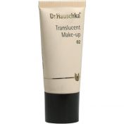 Dr.Hauschka Translucent Make Up 02 Tube günstig im Preisvergleich