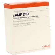 CAMP D30