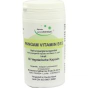 Pangam Vitamin B15 günstig im Preisvergleich