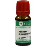 AGARICUS ARCA LM 18