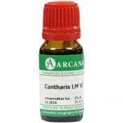 CANTHARIS ARCA LM 6