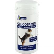 Glucosamin+Chondroitin Kapseln für Hunde günstig im Preisvergleich