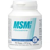 MSM 500mg + Glucosamine