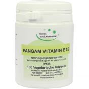 Pangam Vitamin B15 Vegi Kapseln