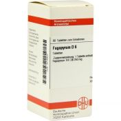 FAGOPYRUM D 6