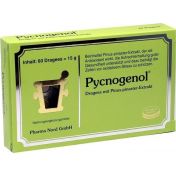 Pycnogenol Kiefernrindenextrakt Pharma Nord