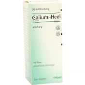 Galium comp.-Heel ad us. vet.