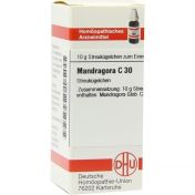 MANDRAGORA C30