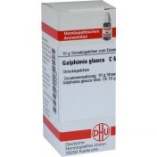 GALPHIMIA GLAUCA C 6