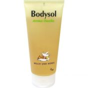 Bodysol Aroma-Duschgel Milch und Honig