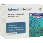 Adrenal-Intercell