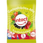 intact Traubenzucker Beutel Gartenfrüchte-Mix günstig im Preisvergleich
