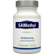 SAMethyl 200mg S-Adenosylmethionin Vegi günstig im Preisvergleich