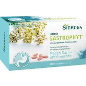 Sidroga GastroPhyt 250 mg Filmtabletten günstig im Preisvergleich