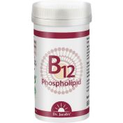 B12 Phospholipid Dr. Jacobs günstig im Preisvergleich