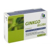 Ginkgo 100mg Kaps + B1 C+E günstig im Preisvergleich