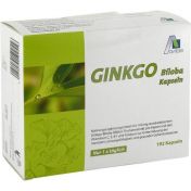 Ginkgo Biloba Kapseln 100 mg + Vit B1, C,  E