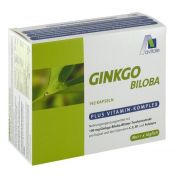 Ginkgo Biloba Kapseln 100 mg + Vit B1, C,  E günstig im Preisvergleich