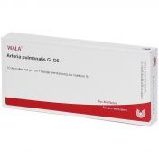 ARTERIA PULMONALIS GL D 6