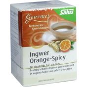 Ingwer Orange-Spicy Tee Salus