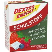 DEXTRO ENERGY SCHULSTOFF WALDFRUCHT
