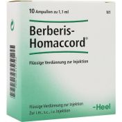 BERBERIS HOMACCORD