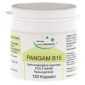 Pangam Vitamin B15 im Preisvergleich