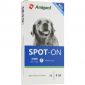 Amigard Spot-on Hund über 15kg Dreierpackung im Preisvergleich