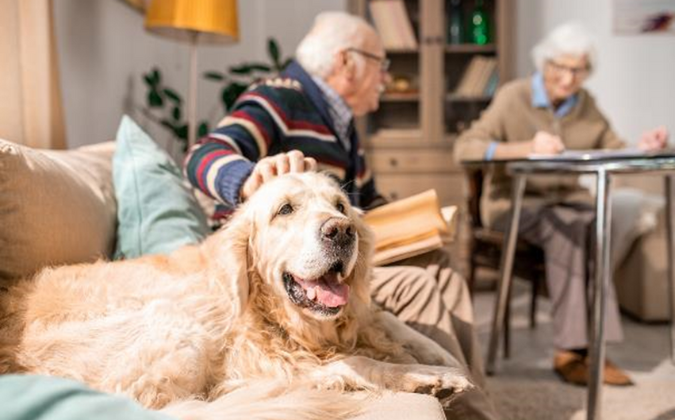 Gesundheit im Alter – wichtige Faktoren, die Sie beachten sollten | apomio Gesundheitsblog